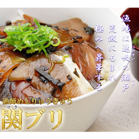 大分県の郷土料理 「関ぶりのりゅうきゅうセット (80g×3袋)」 【送料込み】【代引き不可】