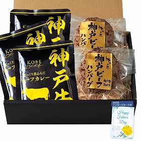 【父の日2025】神戸ビーフハンバーグ&カレー詰合せ 3785-40 4997-348 洋風惣菜 詰合せ【送料込み】【二重包装不可】【お届け不可地域:北海道・沖縄・離島】【お届け日時指定不可】