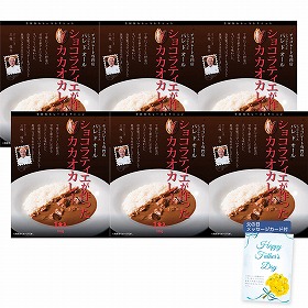 【父の日2025】パレドオール ショコラティエが作ったカカオカレー 920279 4998-275 惣菜 カレー【送料込み】【二重包装不可】【お届け不可地域：北海道・沖縄・離島】【お届け日時指定不可】