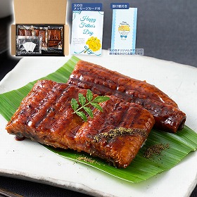 【父の日2025】国産うなぎ蒲焼セット RM-60U3FP 4998-376 和風惣菜 蒲焼き【送料込み】【二重包装不可】【お届け不可地域：北海道・沖縄・離島】【お届け日時指定不可】
