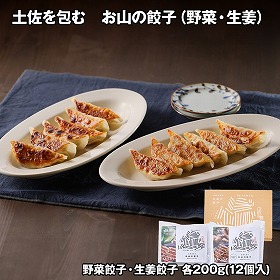 土佐を包む お山の餃子野菜・生姜 中華惣菜 ぎょうざ【送料込み】【お届け不可地域：離島】
