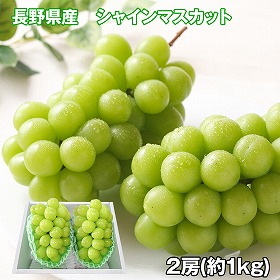 長野県産 シャインマスカット 2房 フルーツ 果物【送料込み】【お届け不可地域：離島】