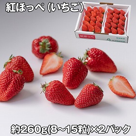 紅ほっぺいちご 2P フルーツ 果物【送料込み】【お届け不可地域：離島】