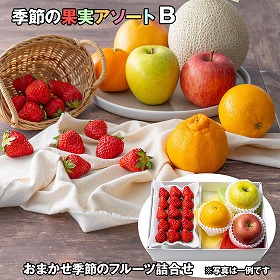 季節の果実アソート B フルーツ 果物【送料込み】【お届け不可地域:離島】
