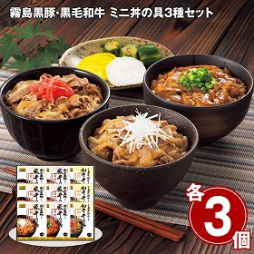 【お歳暮2025】霧島黒豚・黒毛和牛 ミニ丼の具3種セット 和風惣菜【送料込み】【お届け不可地域:離島】_748