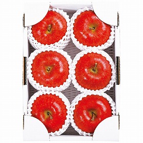 【お歳暮2025】いずみ会の山形産サンふじ秀品約2kg 9830-050 フルーツ 果物【送料込み】【二重包装不可】【お届け不可地域:北海道・沖縄・離島】【お届け日時指定不可】
