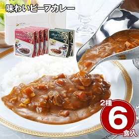 味わいビーフカレー ビーフカレーレギュラー(中辛)150g×2、ビーフカレー欧風(中辛)150g×4 カレーライス【送料込み】【二重包装不可】【お届け不可地域：離島】