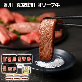 香川 真空密封 オリーブ牛8種焼肉＆ハンバーグセット 牛肉【送料込み】【二重包装不可】【お届け不可地域：離島】