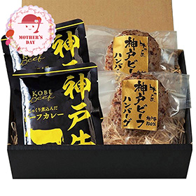 【母の日2026】神戸ビーフハンバーグ＆カレー詰合せ 3784-35 1852-668 洋風惣菜【送料込み】【二重包装不可】【お届け不可地域：北海道・沖縄・離島】【お届け日時指定不可】