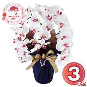 【母の日2026】アーティフィシャルフラワー大輪 胡蝶蘭３本立ち ホワイトビューティー 25-MD-07-WB 1852-149【送料込み】【お届け不可地域：北海道・沖縄・離島】【お届け日時指定不可】