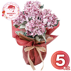 【母の日2026】アーティフィシャルフラワー紫陽花5本立ち パープル 26-MD-10-PU 1852-240【送料込み】【二重包装不可】【お届け不可地域：北海道・沖縄・離島】【お届け日時指定不可】