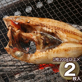 網走水産 北海道産 訳ありキンキ開き APID-841 1897-511 魚介 干物【送料込み】【二重包装不可】【お届け不可地域：北海道・沖縄・離島】