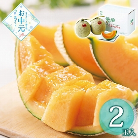 【お中元2026】北海道産 富良野メロン2玉 810040 1625-047 フルーツ 果物【送料込み】【二重包装不可】【お届け不可地域：北海道・沖縄・離島】