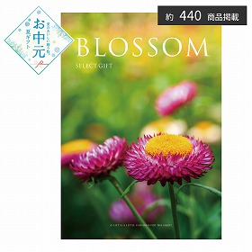 【お中元2026】ブロッサム ムギワラギク カタログギフト【送料込み】【二重包装不可】_1085