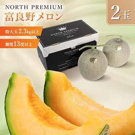 富良野メロン NORTH PREMIUM 2玉入り フルーツ 果物 メロン 北海道 ふらの【送料込み】【二重包装不可】【お届け不可地域：沖縄】【お届け日時指定不可】