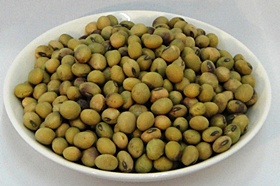 福井県 大だるま大豆 大だるま大豆 1kg 【送料込み】