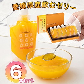 ワッフルアトリエ ムエル　愛媛県産飲むゼリー6本セット【送料込み】【お届け不可地域：北海道・沖縄・離島】