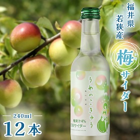 BENIサイダー 梅の呼吸 12本入り 炭酸飲料 福井県 ご当地 梅サイダー 香料不使用【送料込み】【お届け不可地域：北海道・沖縄・離島】【お届け日時指定不可】