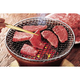 宮崎 宮崎牛 焼肉 （モモ・バラ）500g【送料込み】