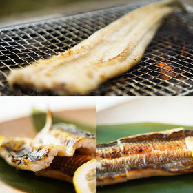 天女の羽衣~あなご一夜干詰合せ【送料込み】【お届け不可地域:北海道・沖縄・離島】