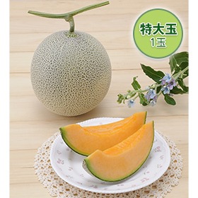 北海道 赤肉メロン 特大玉 1玉【送料込み】【二重包装不可】【お届け日指定不可】【お届け不可地域：沖縄・離島】