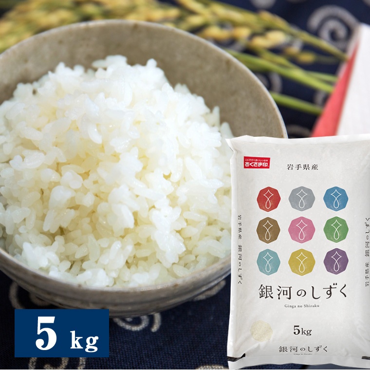 お米 新米【岩手県産銀河のしずく30kg 】5kg×6 6年連続特A