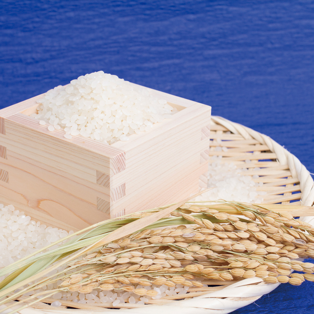 米 お米 こめ おこめ 鳥取県産米「星空舞」 5kg ギフト 【送料込み】の通販・お取り寄せ｜わが街とくさんネット
