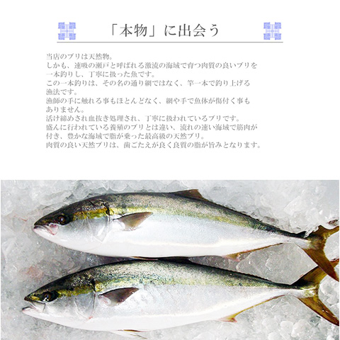 大分県の郷土料理 関ぶりのりゅうきゅうセット 80g 3袋 送料込み の通販 お取り寄せ わが街とくさんネット