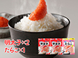 かねふく 便利なスティック明太子とたらこのセット 魚卵 タラコ【送料込み】【二重包装不可】【お届け不可地域:離島】 かねふく 便利なスティック明太子とたらこのセット 魚卵 タラコ【送料込み】【二重包装不可】【お届け不可地域:離島】