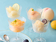 ホシフルーツ フルーツパーラーの凍らせて食べるシャーベット 彩果しずく 10袋 スイーツ アイス【送料込み】【二重包装不可】【お届け不可地域：離島】