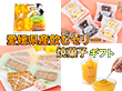 愛媛県産飲むゼリー焼菓子ギフト【クール便】 スイーツ 洋菓子【送料込み】【お届け不可地域：北海道・沖縄・離島】