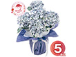 【母の日2026】アーティフィシャルフラワー紫陽花5本立ち ブルー 26-MD-10-BL 1852-252【送料込み】【二重包装不可】【お届け不可地域：北海道・沖縄・離島】【お届け日時指定不可】