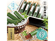 【お中元2026】京都 萬屋琳窕 京の竹筒水ようかん 65g×6 YJ-TKE 和菓子 スイーツ【送料込み】【二重包装不可】