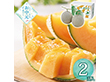 【お中元2026】北海道産 赤肉メロン2玉 810037 1625-059 フルーツ 果物【送料込み】【二重包装不可】【お届け不可地域：北海道・沖縄・離島】