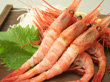 北海道名産品 海の幸 刺身用特選甘エビ(1kg 54尾前後) 【送料込み】 北海道名産品 海の幸 刺身用特選甘エビ(1kg 54尾前後) 【送料込み】
