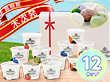 VANAGA アイス 12個入【送料込み】【お届け不可地域:北海道・沖縄・離島】 VANAGA アイス 12個入【送料込み】【お届け不可地域:北海道・沖縄・離島】