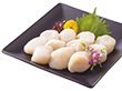 【お歳暮2025】網走水産 北海道産 お刺身ほたて貝柱 500g AP-149 9806-035 ホタテ【送料込み】【お届け不可地域：北海道・沖縄・離島】