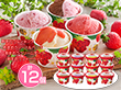博多あまおうのこだわりアイス AH-AB5N スイーツ アイスクリーム【送料込み】【二重包装不可】【お届け不可地域：離島】