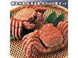 網走水産 北海道産 毛がに2尾セット APID-027 4826-474 蟹 カニ【送料込み】【二重包装不可】【お届け不可地域：北海道・沖縄・離島】