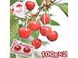【母の日2026】山形県産ハウスさくらんぼ佐藤錦ダイヤパック 母の日セット フルーツ 果物【送料込み】【二重包装不可】【お届け不可地域：離島】【お届け日時指定不可】