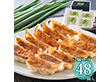 九条ねぎ餃子 12入×4 KF-NG ぎょうざ 惣菜【送料込み】【二重包装不可】【お届け不可地域：離島不可】