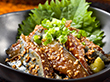 博多名物 ごまさば真さばの切身3人前 魚介 サバ【送料込み】【二重包装不可】【お届け不可地域：離島】