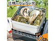 赤崎産牡蠣のカンカン焼 かき カキ【送料込み】【二重包装不可】