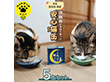 ミケ猫みっけの献上缶 ５缶セット ペットフード キャットフード ネコ【送料込み】