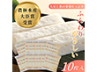 おとうふかまぼこ 真打 おうち買い10枚セット 【送料込み】