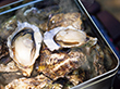 広島牡蠣のカンカン焼き 貝類 カキ 惣菜【送料込み】【お届け不可地域：離島】