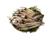 【母の日2025】山陰海鮮一夜干しセット 5種 6366-50 4490-875 魚介 干物【送料込み】【二重包装不可】【お届け不可地域：北海道・沖縄・離島】【お届け日時指定不可】