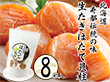 生たきほたて貝柱 8粒 袋 【送料込み】【お届け不可地域：離島】