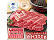 【父の日2026】宮崎牛 焼肉食べ比べ 5等級 牛肉【送料込み】【二重包装不可】【お届け不可地域：離島】【お届け日時指定不可】_91025