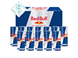 【お中元2026】Red Bull エナジードリンクギフト 250ml×12 エナジー飲料【送料込み】【二重包装不可】_1021